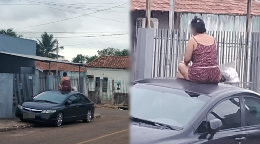 Imagem: page Dois cães de grande porte escapam de residência e causam pânico no Conjunto São José Imagem: page Dois cães de grande porte escapam de residência e causam pânico no Conjunto São José