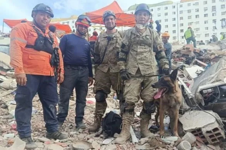 Imagem: Ajuda de resgate na Venezuela Cão socorrista argentino encontra crianças vivas em escombros Imagem: Ajuda de resgate na Venezuela Cão socorrista argentino encontra crianças vivas em escombros