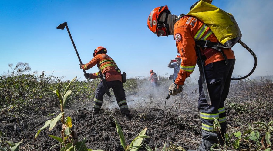 Imagem: brigadista Bombeiros combatem incêndios florestais em Rondonópolis e outras 16 ocorrências em MT Imagem: brigadista Bombeiros combatem incêndios florestais em Rondonópolis e outras 16 ocorrências em MT