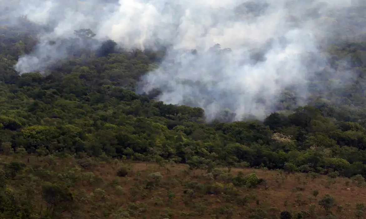 Imagem: 1095537 vacpto 25.10.17 16 Copernicus: emissão global de gases por incêndios é a menor registrada em 24 anos Imagem: 1095537 vacpto 25.10.17 16 Copernicus: emissão global de gases por incêndios é a menor registrada em 24 anos