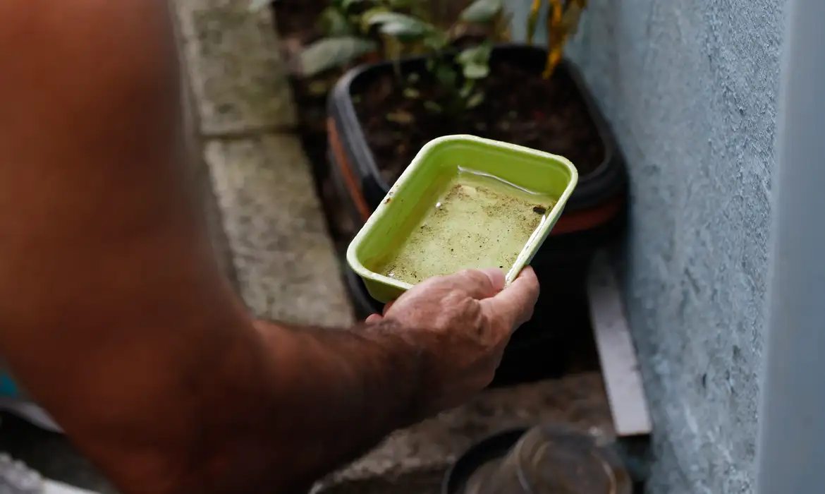 Imagem: 20230330101501 mg 7168 Fenômeno climático El Niño pode aumentar casos de chikungunya e dengue no Brasil