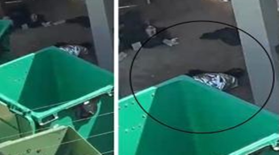 Imagem: 828e6fa984468e9d7dbad24faa4976dd Corpo de bebê é encontrado dentro de lixeira de condomínio em Várzea Grande