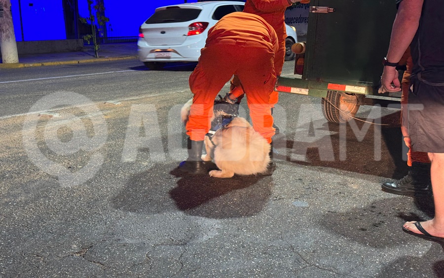 Imagem: Cao foi mobilizado Mulher é atacada por cão durante caminhada e mobiliza Samu e Corpo de Bombeiros em Rondonópolis