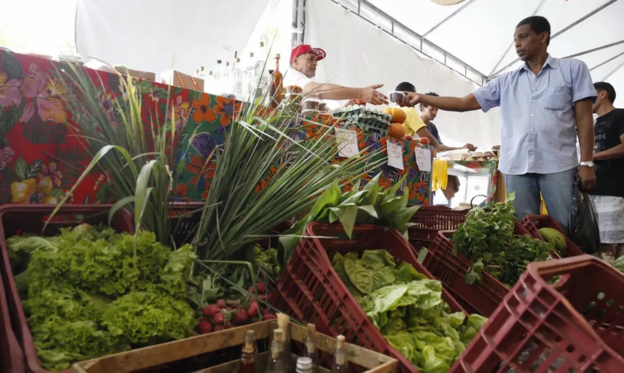 Imagem: FEIRA VERDURAS Decreto adia exigência de CNPJ para autônomos e produtores rurais