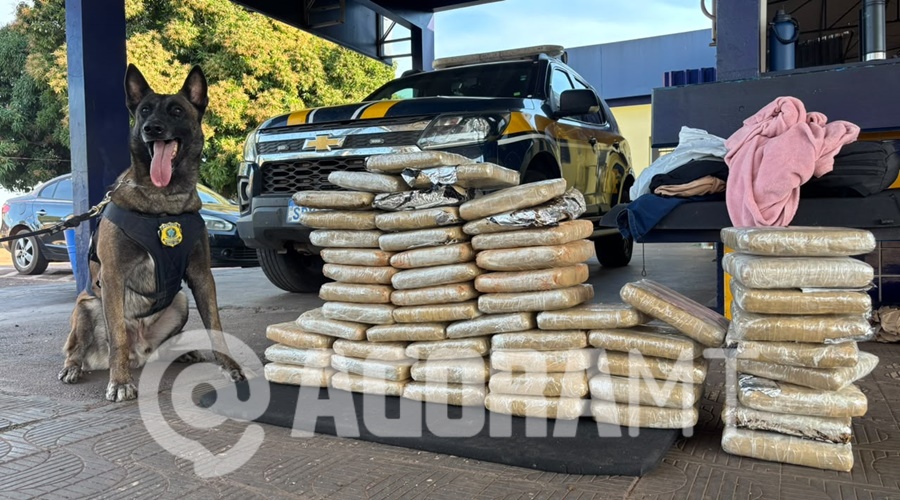 Imagem: WhatsApp Image 2026 07 09 at 16.05.23 1 Homem é preso pela PRF transportando 63 Kg de skunk escondida em veículo na BR-364 em Rondonópolis