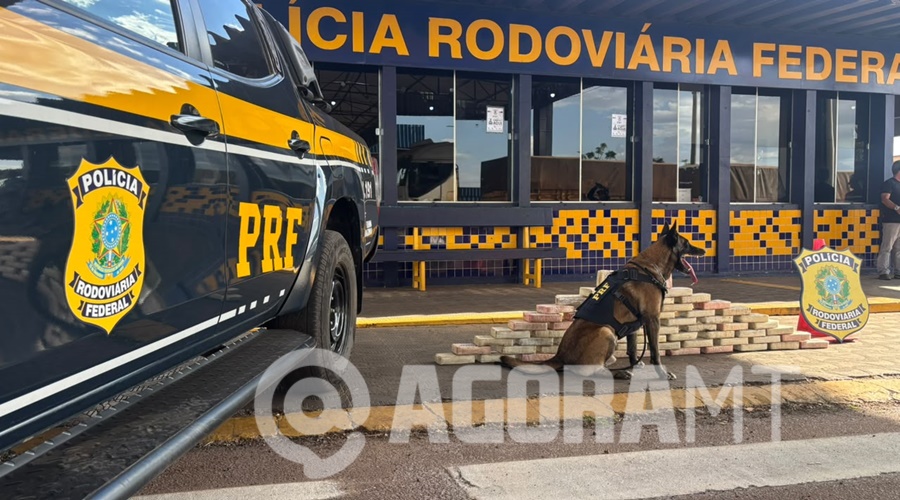 Imagem: WhatsApp Image 2026 07 16 at 14.51.45 PRF apreende 65 tabletes de pasta base de cocaína escondidos em caminhão de soja em Rondonópolis