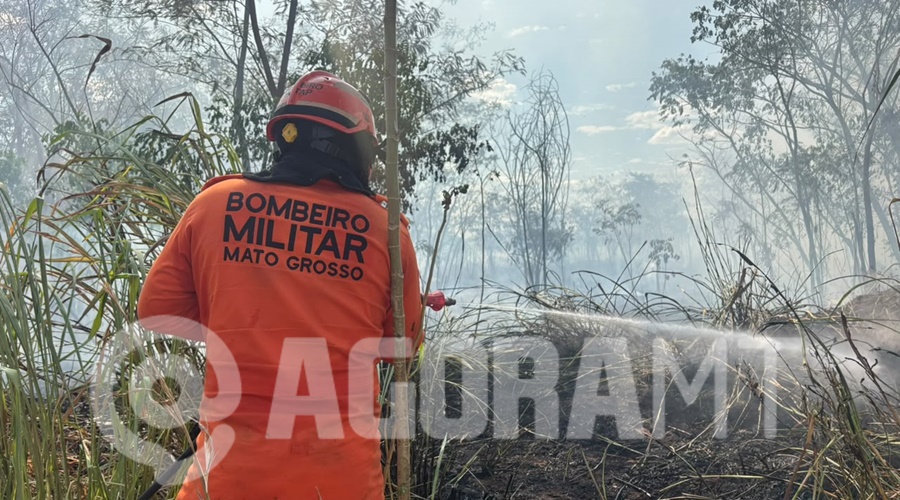 Imagem: WhatsApp Image 2026 07 20 at 14.10.08 Comitê de Gestão do Fogo intensifica ações e passa a se reunir a cada 20 dias em Rondonópolis