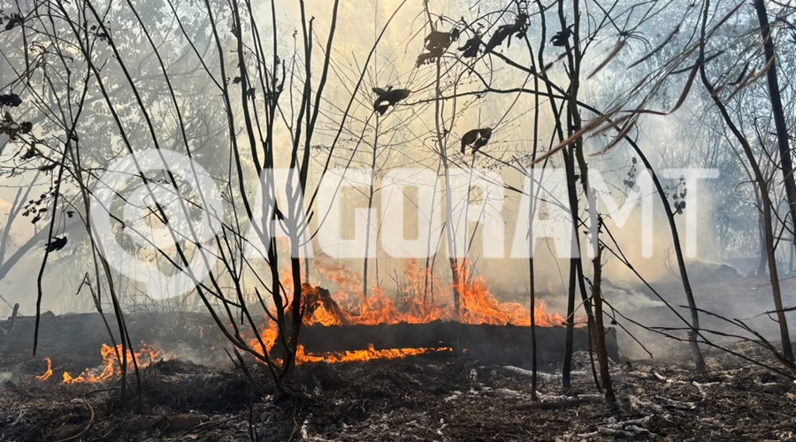 Imagem: WhatsApp Image 2026 07 20 at 14.10.12 Incêndio em área verde mobiliza Corpo de Bombeiros e assusta moradores em Rondonópolis
