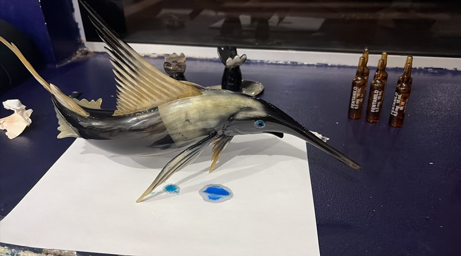 Imagem: droga em escultura de Passageiro é preso pela PRF ao transportar cocaína e fentanil escondidos em escultura de peixe na BR-364 Imagem: droga em escultura de Passageiro é preso pela PRF ao transportar cocaína e fentanil escondidos em escultura de peixe na BR-364