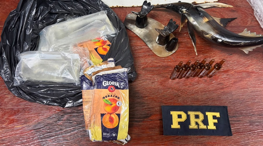 Imagem: droga em peixe decorativo Passageiro é preso pela PRF ao transportar cocaína e fentanil escondidos em escultura de peixe na BR-364 Imagem: droga em peixe decorativo Passageiro é preso pela PRF ao transportar cocaína e fentanil escondidos em escultura de peixe na BR-364