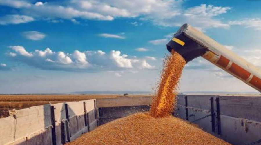 Imagem: image 3 2 Valor bruto da produção agropecuária brasileira é estimado em R$ 1,4 trilhão em junho