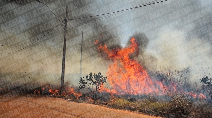 Imagem: incendio parque dos lirios 2 Queimadas começam a ser registradas em Rondonópolis; SEMMA alerta que multas podem chegar a R$ 4,6 milhões
