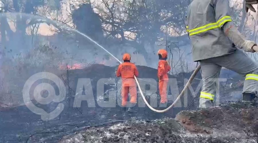 Imagem: Bombeiros apagando fogo Queimada ganha força com tempo seco e quase atinge residências às margens da Avenida Goiânia em Rondonópolis Imagem: Bombeiros apagando fogo Queimada ganha força com tempo seco e quase atinge residências às margens da Avenida Goiânia em Rondonópolis