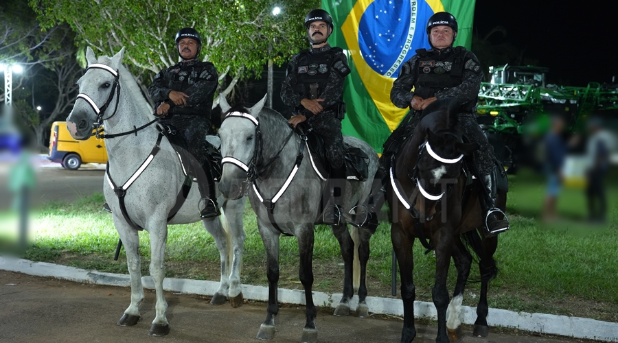 Imagem: Cavalaria Exposul 2026 tem reforço no policiamento com atuação da Cavalaria e forças especializadas Imagem: Cavalaria Exposul 2026 tem reforço no policiamento com atuação da Cavalaria e forças especializadas