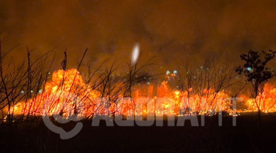 Imagem: ENQUADRAMENTO SITE 3 1 Incêndio de grandes proporções atinge área de mata nas proximidades do Loteamento Alta Vista Parque Imagem: ENQUADRAMENTO SITE 3 1 Incêndio de grandes proporções atinge área de mata nas proximidades do Loteamento Alta Vista Parque