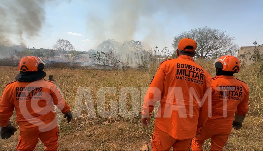 Imagem: Incendio as margens da Avenida Goiania Incêndio às margens da Avenida Goiânia pode ter sido criminoso; suspeito foi preso pela PMPA Imagem: Incendio as margens da Avenida Goiania Incêndio às margens da Avenida Goiânia pode ter sido criminoso; suspeito foi preso pela PMPA