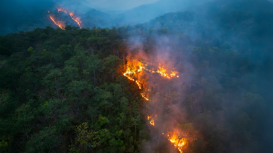 Imagem: QUEIMADAS 1 Dia Nacional de Combate à Poluição: fumaça das queimadas é risco invisível que afeta o coração aos pulmões Imagem: QUEIMADAS 1 Dia Nacional de Combate à Poluição: fumaça das queimadas é risco invisível que afeta o coração aos pulmões