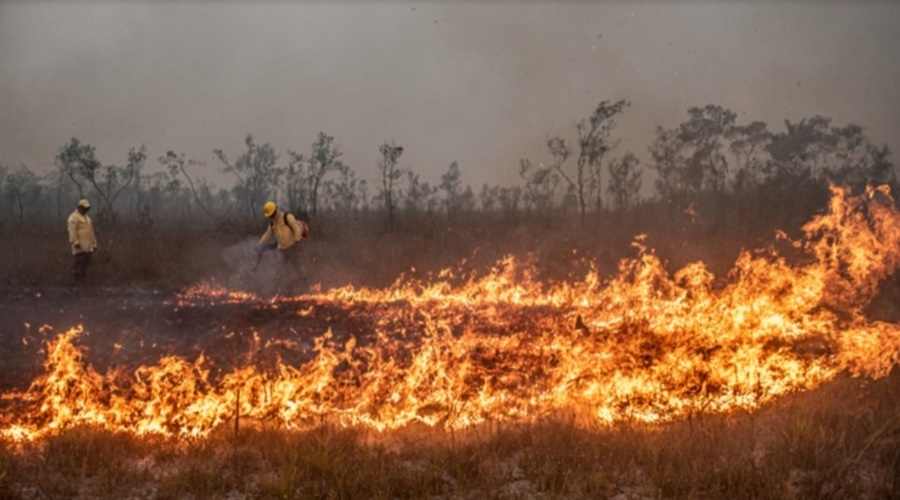 Imagem: WhatsApp Image 2026 07 02 at 15.33.49 Rondonópolis entra na rota dos incêndios florestais e mobiliza equipes do Corpo de Bombeiros Imagem: WhatsApp Image 2026 07 02 at 15.33.49 Rondonópolis entra na rota dos incêndios florestais e mobiliza equipes do Corpo de Bombeiros