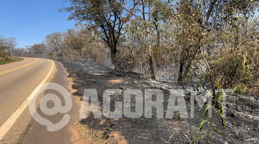 Imagem: WhatsApp Image 2026 08 18 at 12.50.29 Incêndio de grandes proporções atinge área de mata às margens da MT-270 em Rondonópolis Imagem: WhatsApp Image 2026 08 18 at 12.50.29 Incêndio de grandes proporções atinge área de mata às margens da MT-270 em Rondonópolis
