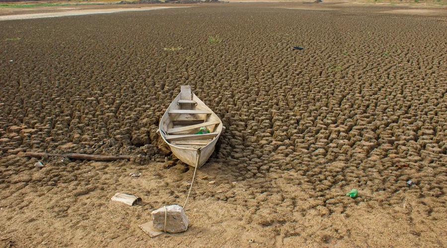 Imagem: cats 2 Brasil promete restaurar 163 mil km² de terras degradadas até 2030 Imagem: cats 2 Brasil promete restaurar 163 mil km² de terras degradadas até 2030