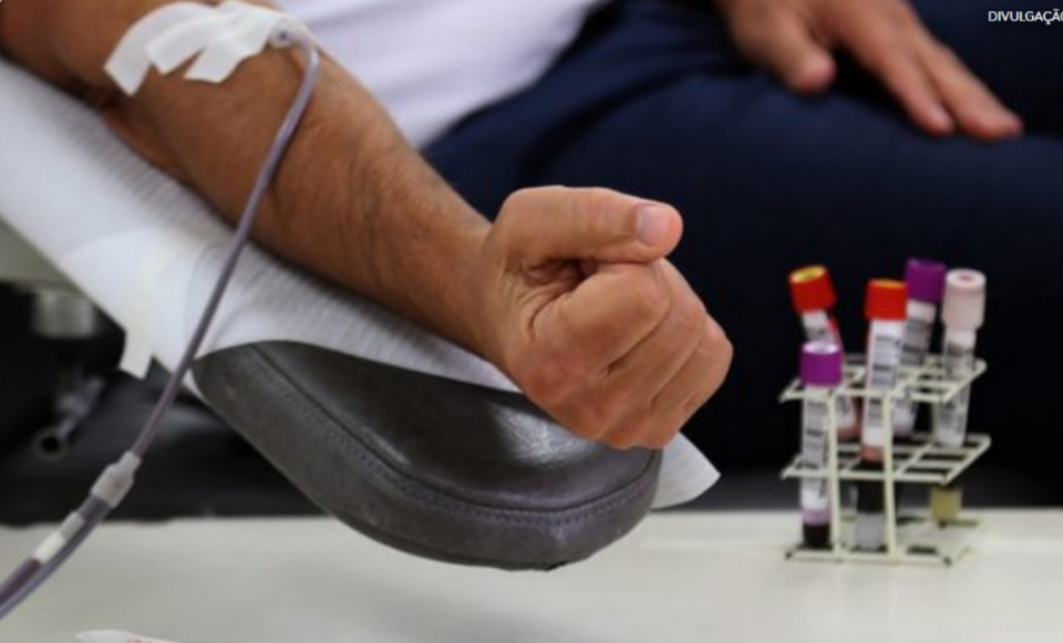 Imagem: image 3 Novo regulamento permite que pessoas saudáveis com mais de 70 anos doem sangue
