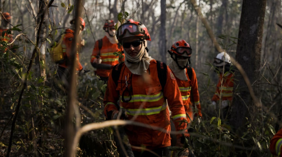 Imagem: queimadas Mato Grosso registra menor número de focos de calor da série histórica em julho Imagem: queimadas Mato Grosso registra menor número de focos de calor da série histórica em julho