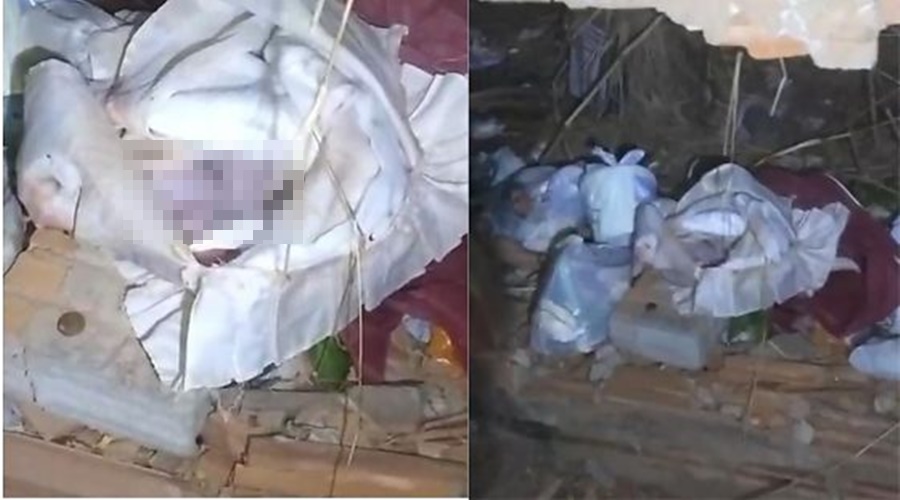 Imagem: BEBE MORTO Catador de latinhas encontra corpo de recém-nascida dentro de sacola em terreno baldio de Cuiabá Imagem: BEBE MORTO Catador de latinhas encontra corpo de recém-nascida dentro de sacola em terreno baldio de Cuiabá