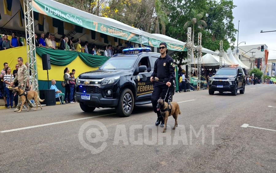 Imagem: Desfile 7 de setembro em Rondonopolis Policia Federal Rondonópolis celebra Independência do Brasil com desfile cívico que reúne escolas e instituições