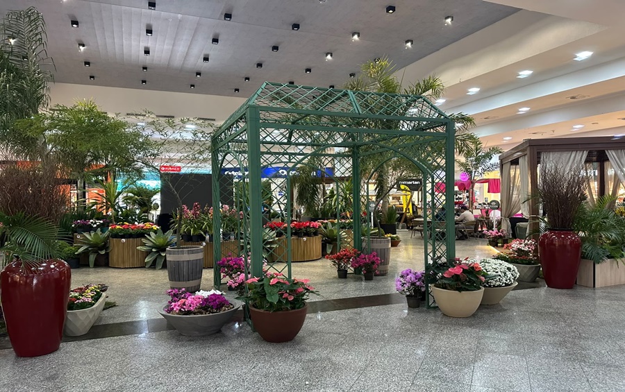 Imagem: Expo jardim Expo Jardim transforma praça central do Rondon Plaza Shopping em vitrine de paisagismo até sábado Imagem: Expo jardim Expo Jardim transforma praça central do Rondon Plaza Shopping em vitrine de paisagismo até sábado