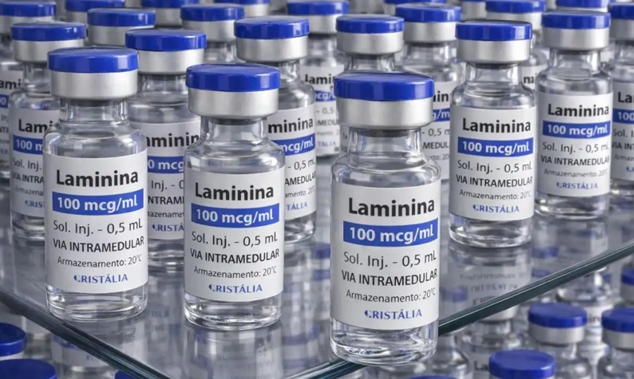 Imagem: Laminina Tratamento para lesão na medula começa a ser testado com medicamento Polilaminina Imagem: Laminina Tratamento para lesão na medula começa a ser testado com medicamento Polilaminina