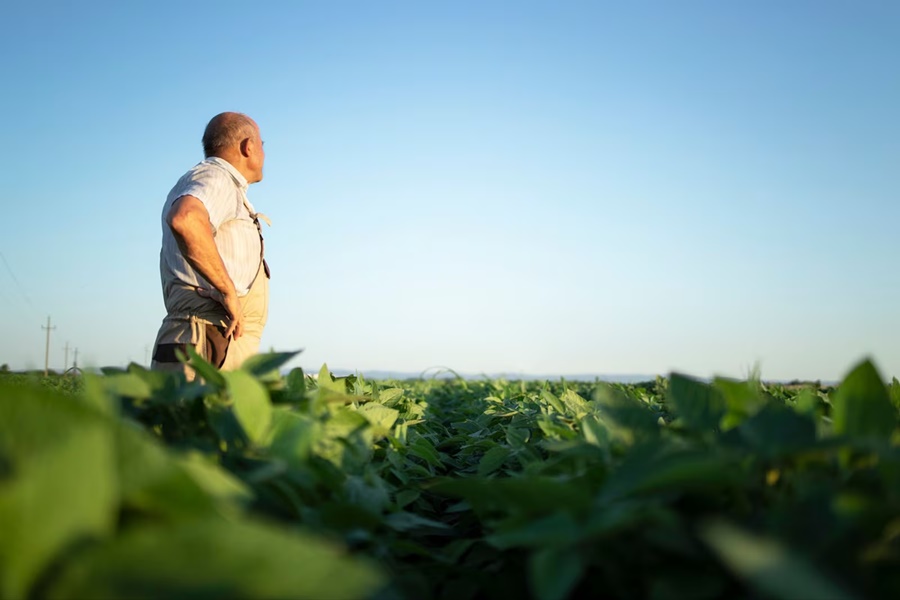 Imagem: PRODUTOR SAFRA Fertilizantes e clima exigem revisão do planejamento da safra 2026/27 Imagem: PRODUTOR SAFRA Fertilizantes e clima exigem revisão do planejamento da safra 2026/27
