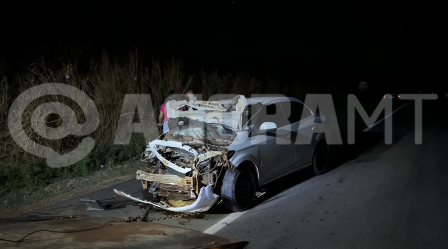 Imagem: carro destruido colidiu com a anta EXCLUSIVO | Carro com cinco pessoas colide com anta que invadiu a pista na BR-364