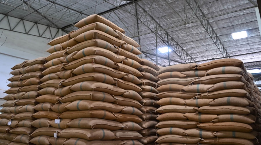 Imagem: estoque de graos agro Governo amplia compras de arroz e milho diante de risco climático e estoques públicos reduzidos