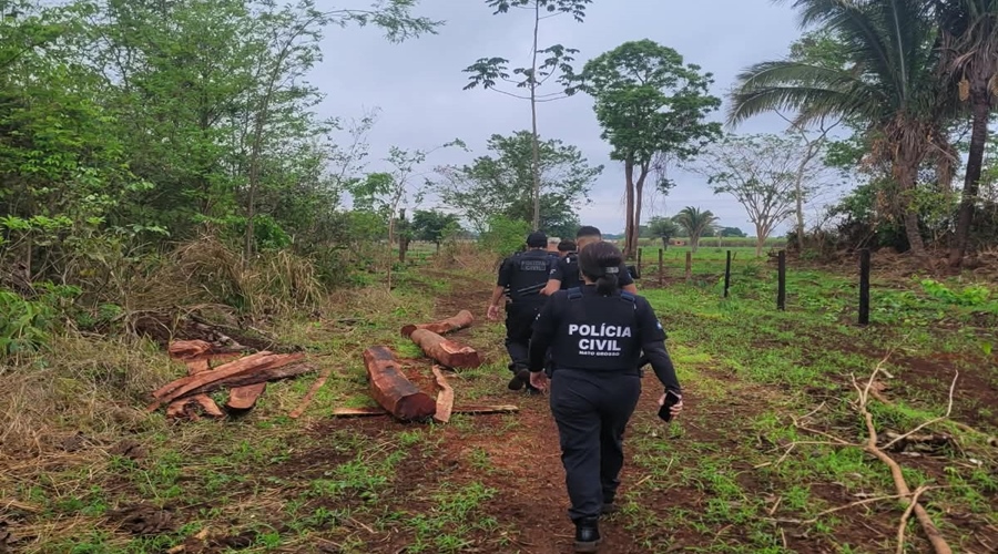 Imagem: policia civil em fazenda Gado é furtado de fazenda e suspeitos colocam fogo em pastagem em Nobres Imagem: policia civil em fazenda Gado é furtado de fazenda e suspeitos colocam fogo em pastagem em Nobres