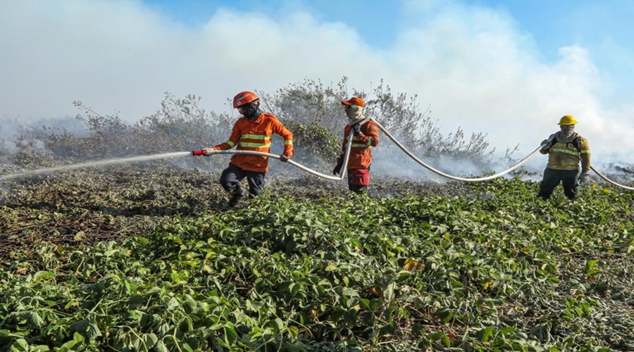 Imagem: redimensionada Bombeiros combatem 11 incêndios florestais em Mato Grosso nesta sexta-feira e reforçam ações de combate às chamas Imagem: redimensionada Bombeiros combatem 11 incêndios florestais em Mato Grosso nesta sexta-feira e reforçam ações de combate às chamas