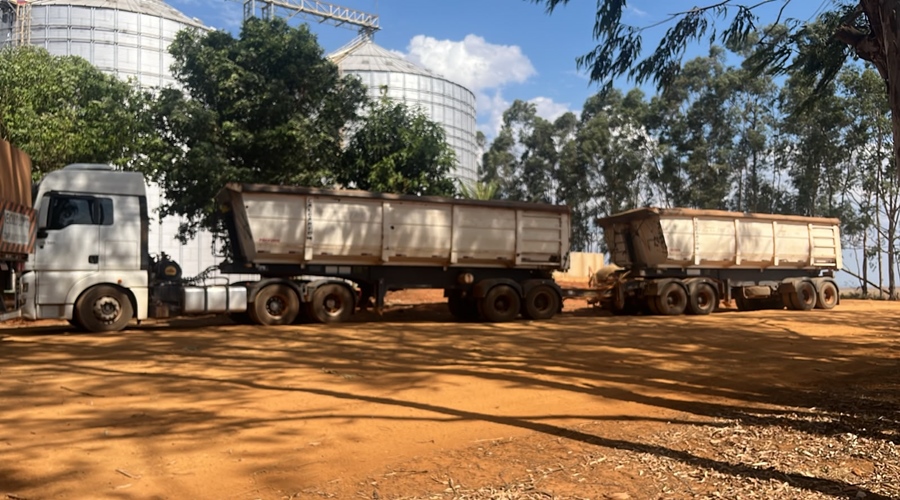 Imagem: soja roubada Motorista é preso após apresentar ordem falsa para carregar mais de R$ 109 mil em soja em Guiratinga