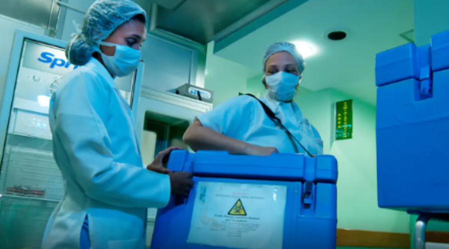 Imagem: transplantes 1 Setembro Verde: saúde e avaliação médica definem se idoso pode doar órgão em vida Imagem: transplantes 1 Setembro Verde: saúde e avaliação médica definem se idoso pode doar órgão em vida