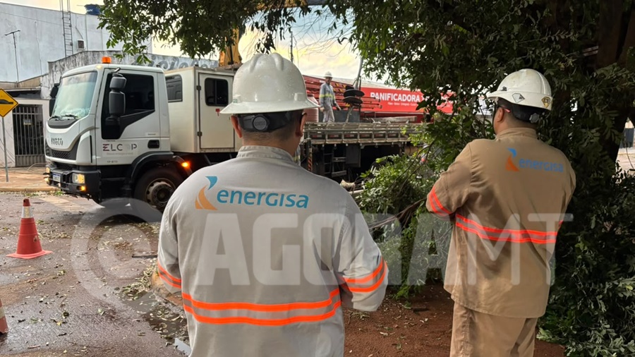 Imagem: Equipe da Energisa no local Chuva e ventania derrubam árvore e provocam queda de postes no Jardim Atlântico em Rondonópolis Imagem: Equipe da Energisa no local Chuva e ventania derrubam árvore e provocam queda de postes no Jardim Atlântico em Rondonópolis