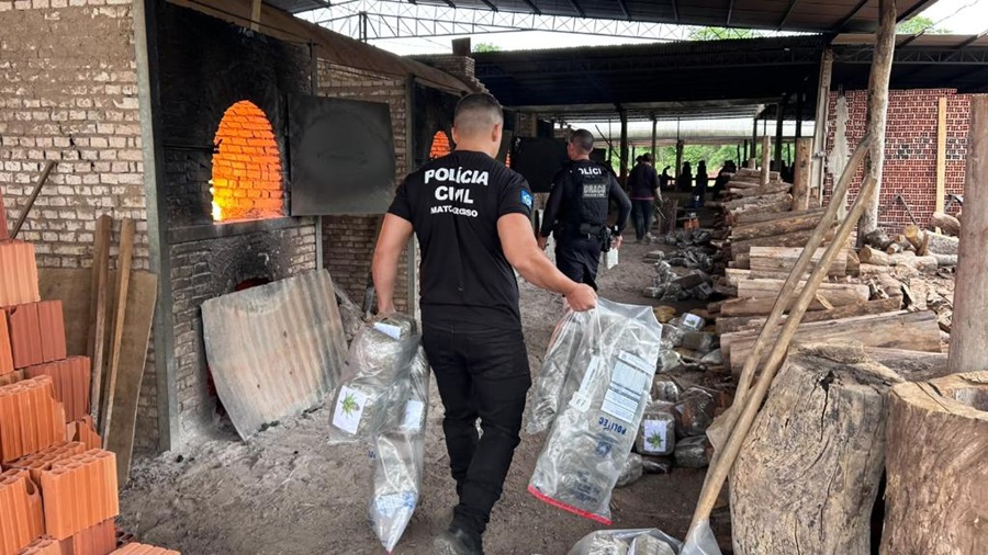 Imagem: Inciceracao de droga Polícia Civil destrói mais 400 quilos de entorpecentes em quinta incineração do ano em Cáceres Imagem: Inciceracao de droga Polícia Civil destrói mais 400 quilos de entorpecentes em quinta incineração do ano em Cáceres