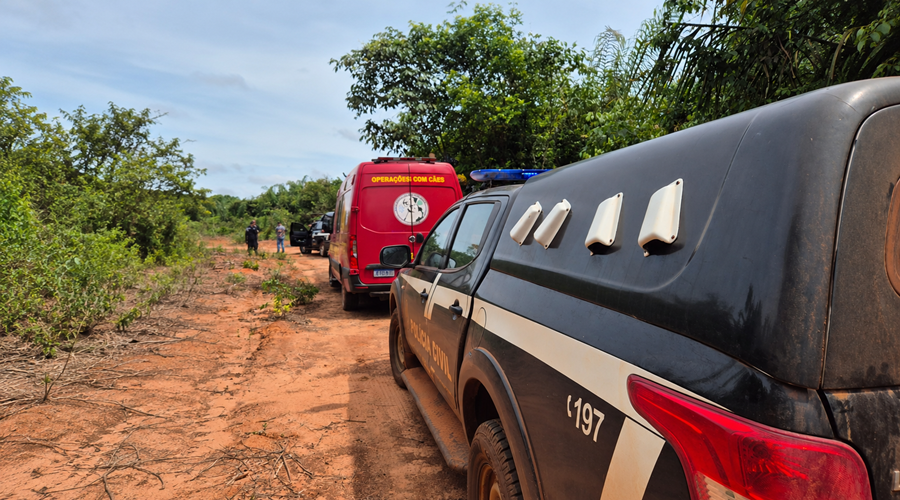 Imagem: Operacao com caes na estrada rural Corpo é encontrado enterrado em cova rasa e pode ser de trabalhador desaparecido há quase sete meses
