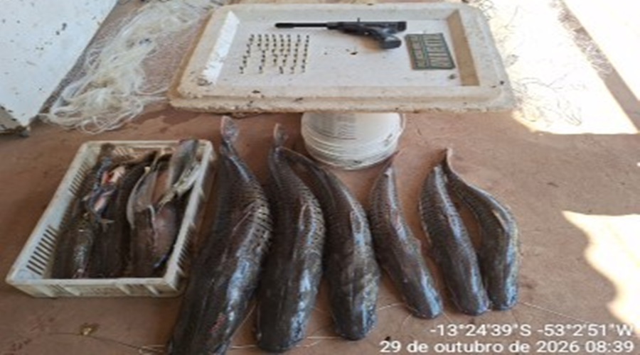 Imagem: PESCADO APREENDIDO Fiscalização da Piracema apreende 37 kg de pescado, redes de pesca e arma artesanal no interior de MT