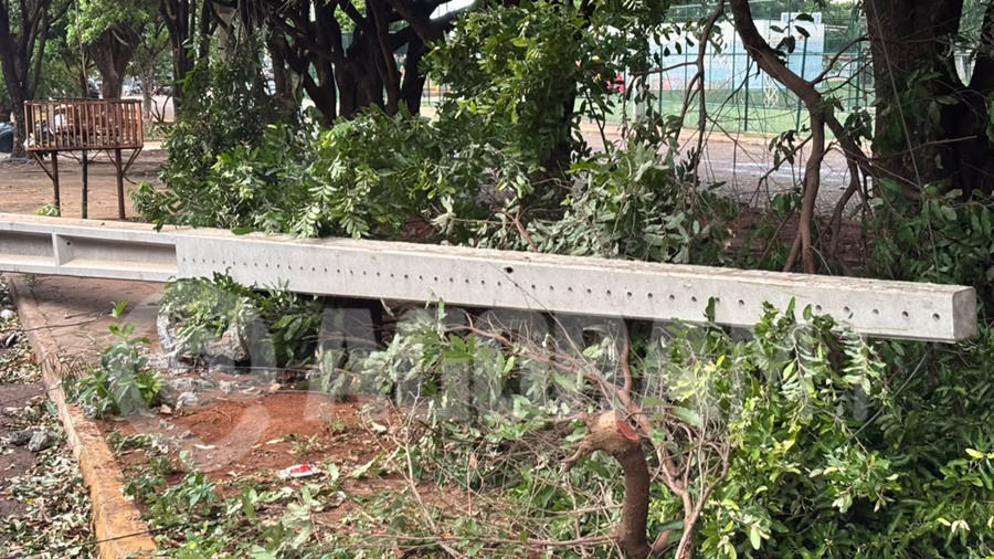 Imagem: Poste caido Chuva e ventania derrubam árvore e provocam queda de postes no Jardim Atlântico em Rondonópolis Imagem: Poste caido Chuva e ventania derrubam árvore e provocam queda de postes no Jardim Atlântico em Rondonópolis