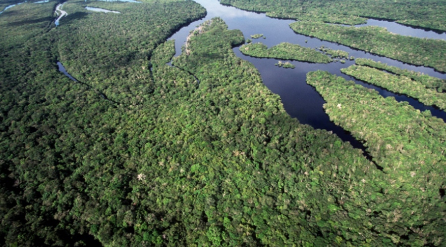 Imagem: amazonia Desmatamento em áreas protegidas da Amazônia e do Cerrado tem queda Imagem: amazonia Desmatamento em áreas protegidas da Amazônia e do Cerrado tem queda