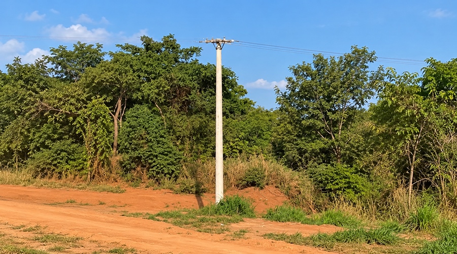 Imagem: poste de energia campo verde jovem morto Jovem de 26 anos morre após bambu conduzir descarga elétrica em Campo Verde Imagem: poste de energia campo verde jovem morto Jovem de 26 anos morre após bambu conduzir descarga elétrica em Campo Verde