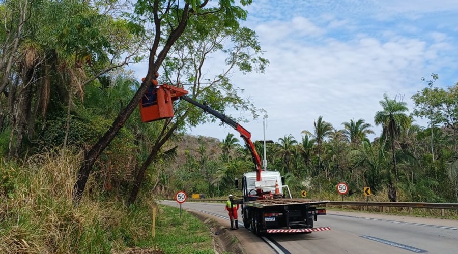 Imagem: serra de sao vicente Serra de São Vicente terá interdições temporárias para poda de árvores entre segunda e sexta-feira Imagem: serra de sao vicente Serra de São Vicente terá interdições temporárias para poda de árvores entre segunda e sexta-feira